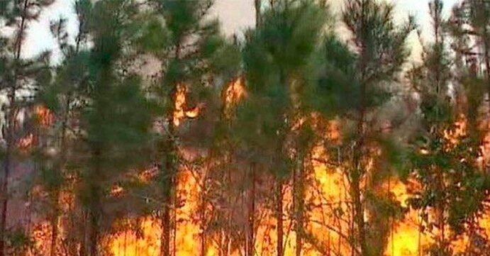 Gran incendio forestal afecta zona boscosa de Cuba