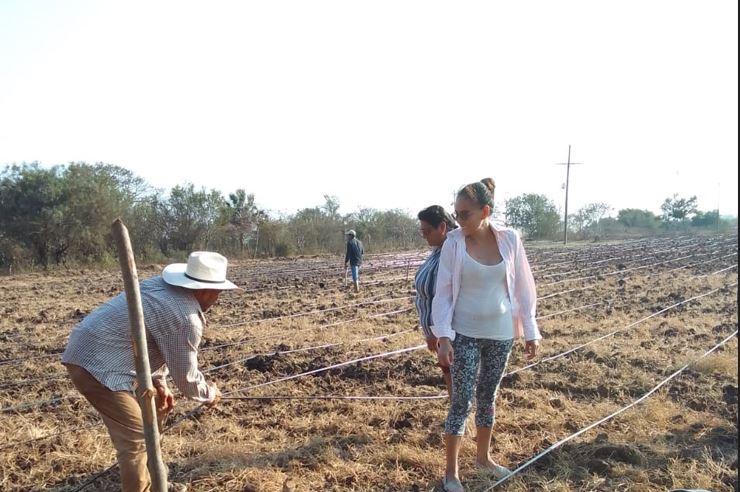 Productores avanzan en la recuperación de sus sistemas de riego en todo el país