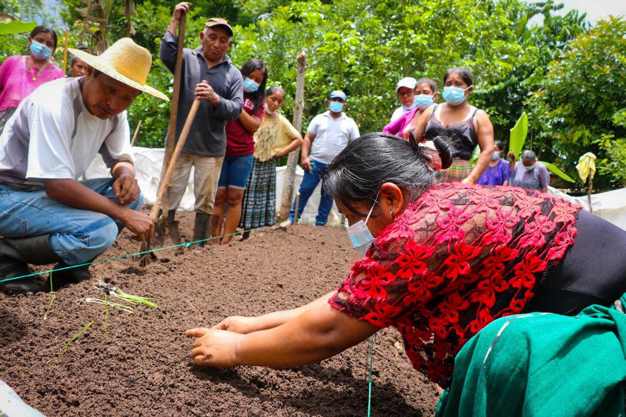Pequeños agricultores serán capacitados para el desarrollo de negocios agrícolas