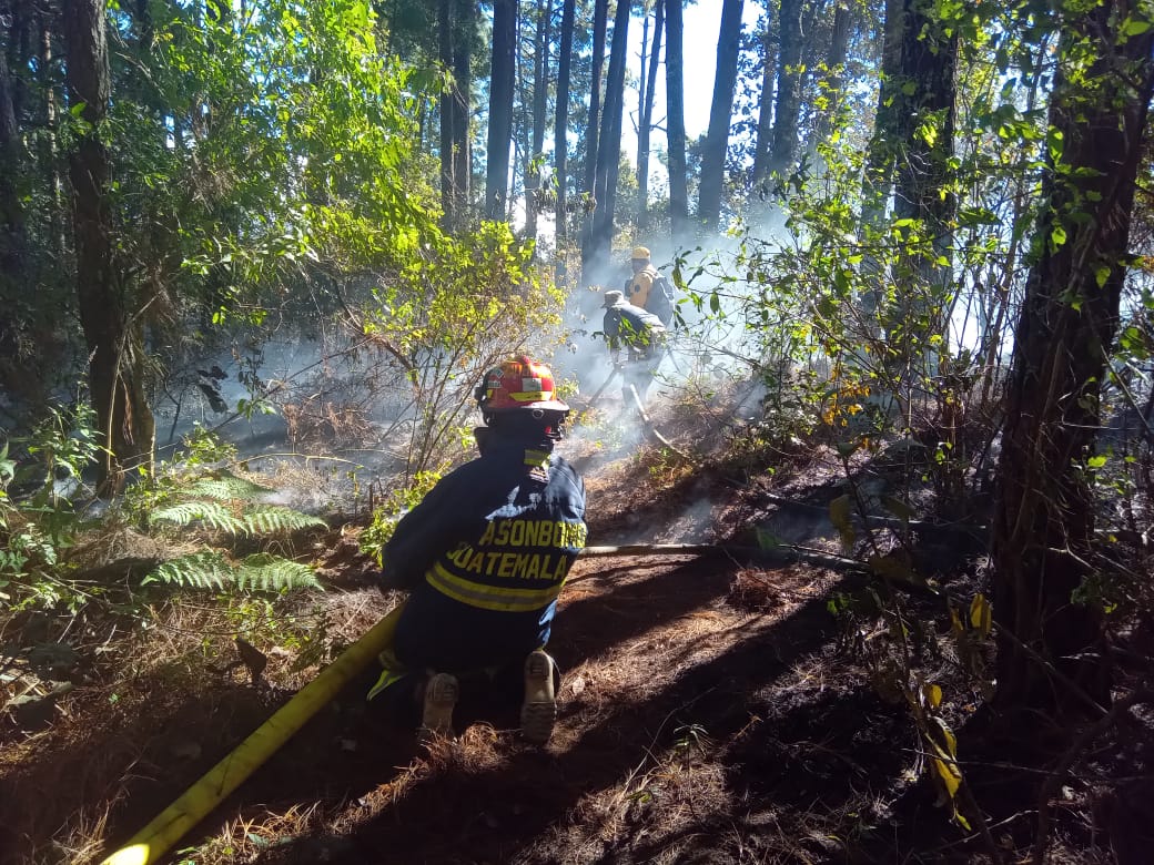 Coordinan acciones para la prevención de incendios forestales en Petén