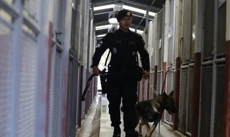 Gobernación continúa fortaleciendo acciones contra el narcotráfico
