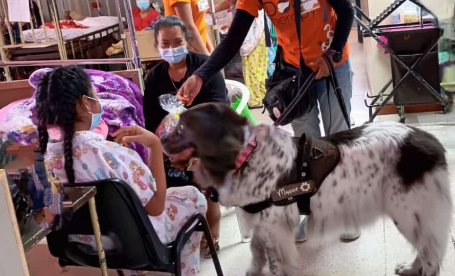 Niños del Hospital San Juan de Dios reciben terapia asistida con animales