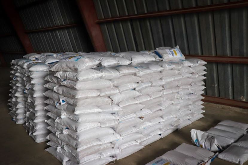 Proponen acciones para mejorar producción de semilla certificada
