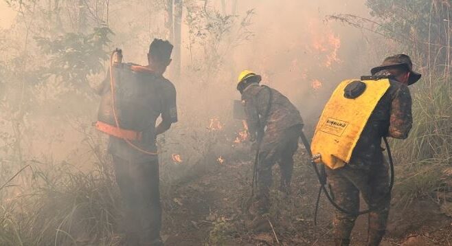 Continúan las acciones para la prevención de incendios forestales