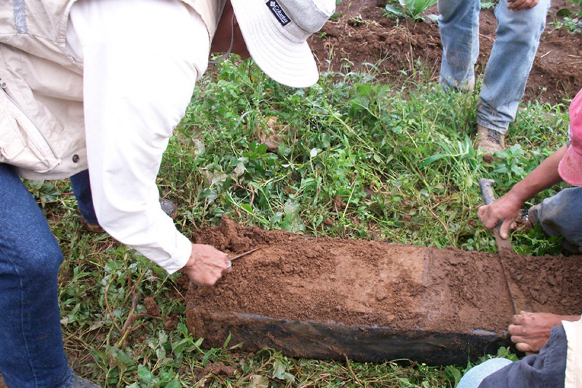 Efectuarán estudios de suelos para mejorar producción agrícola