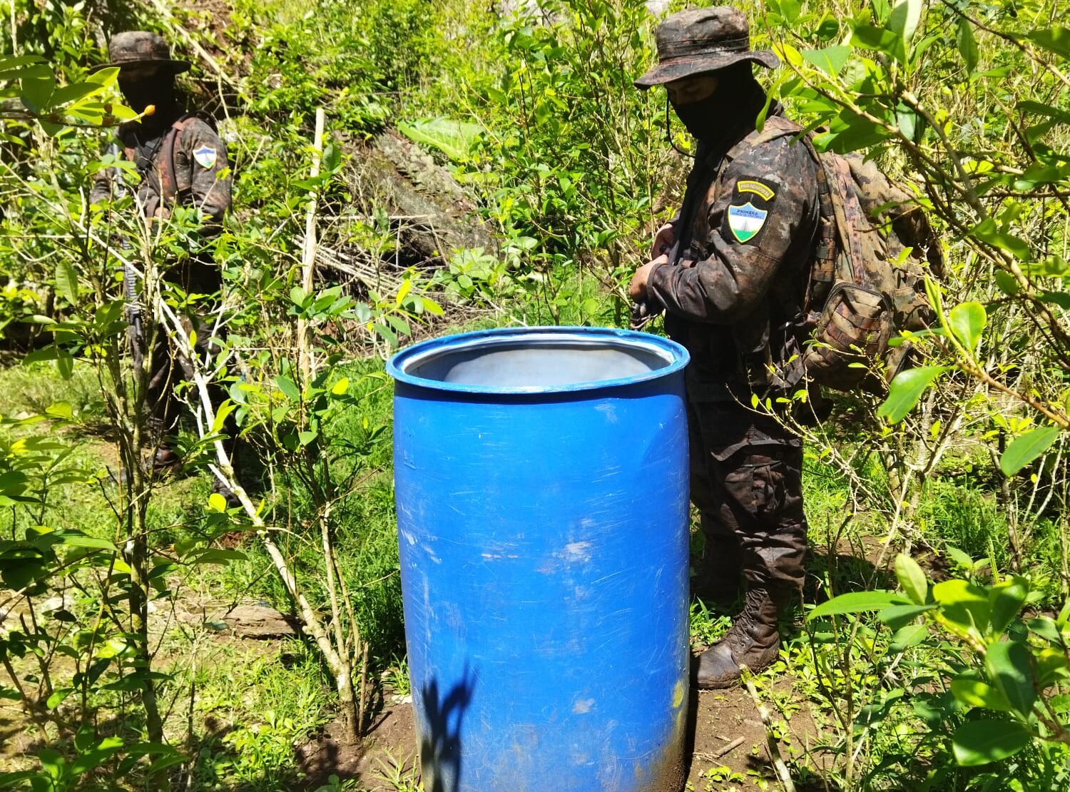 Por segundo día consecutivo, Ejército localiza plantación de coca en San Luis, Petén