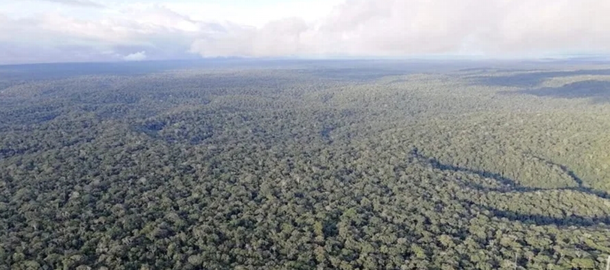 Deforestación provoca reducción de precipitaciones en los trópicos
