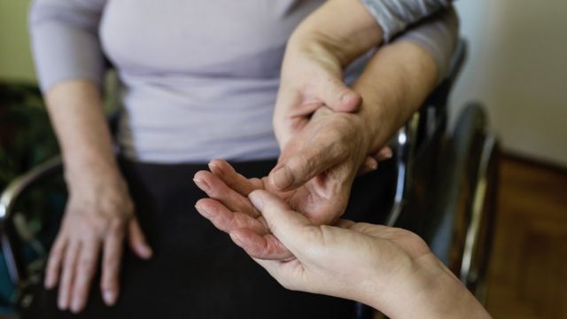 Dispositivo biohíbrido podría devolver la función a miembros paralizados