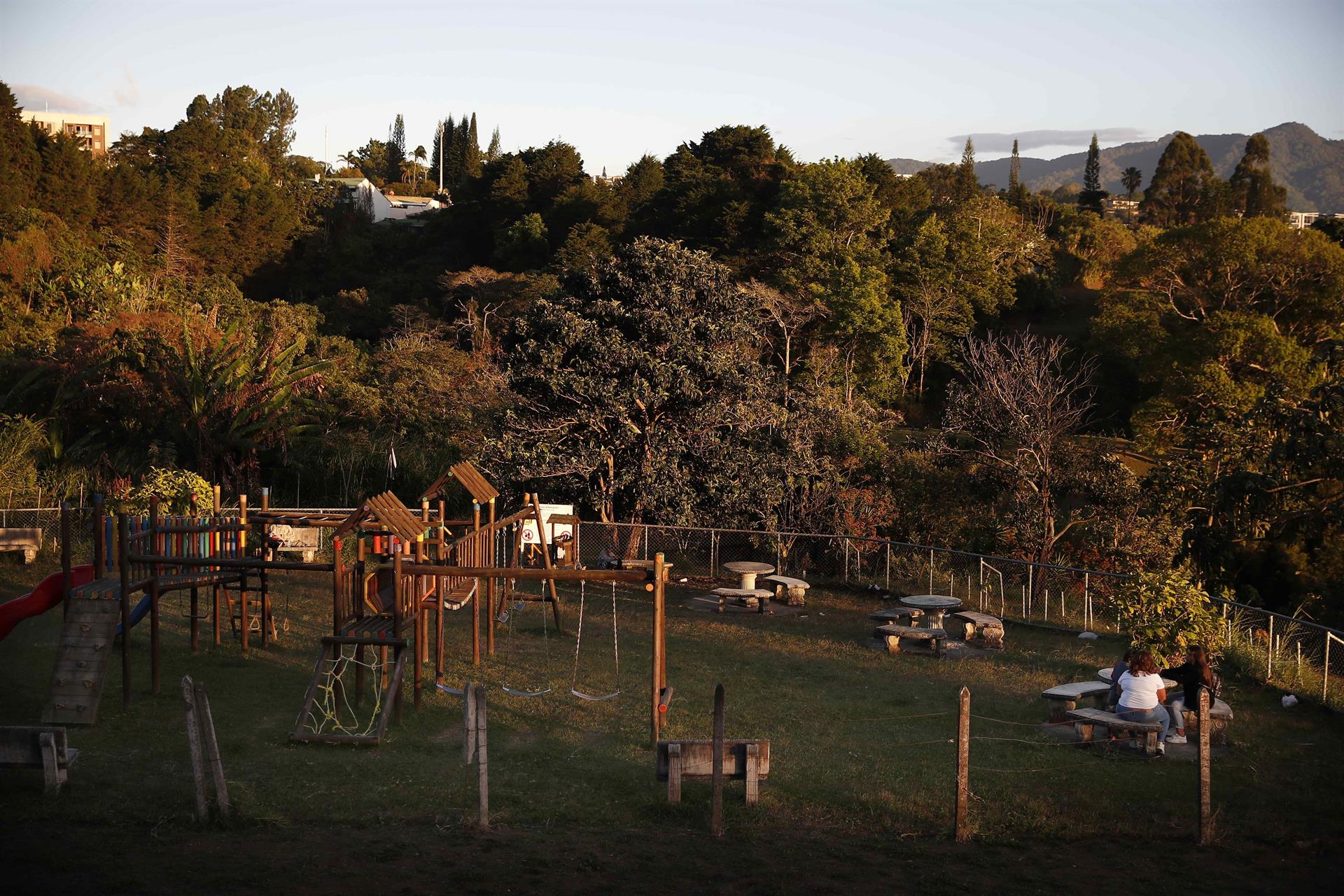 Minibosques urbanos, una iniciativa para crear pasillos verdes biodiversos