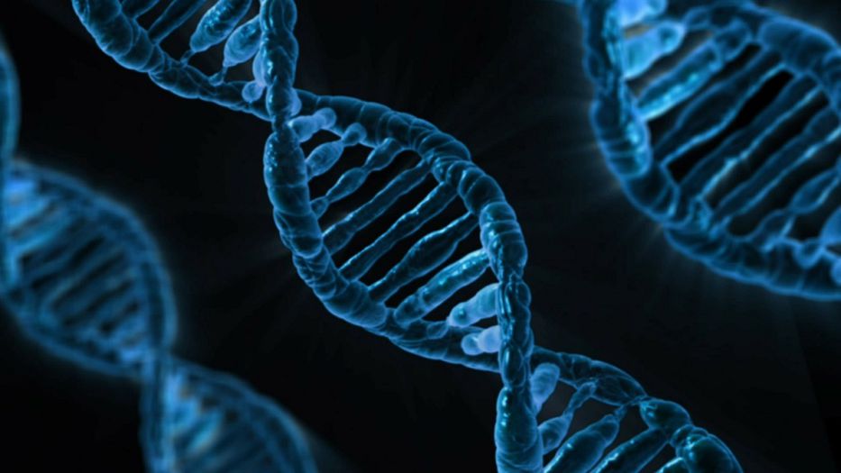 Identifican nuevos genes que pueden aumentar el riesgo de esquizofrenia