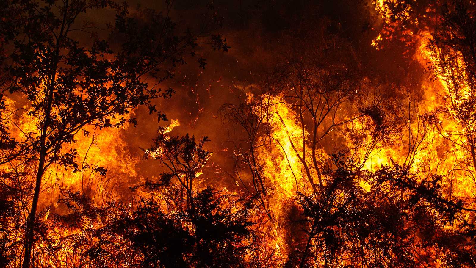 Partículas de humo de los incendios pueden erosionar la capa de ozono