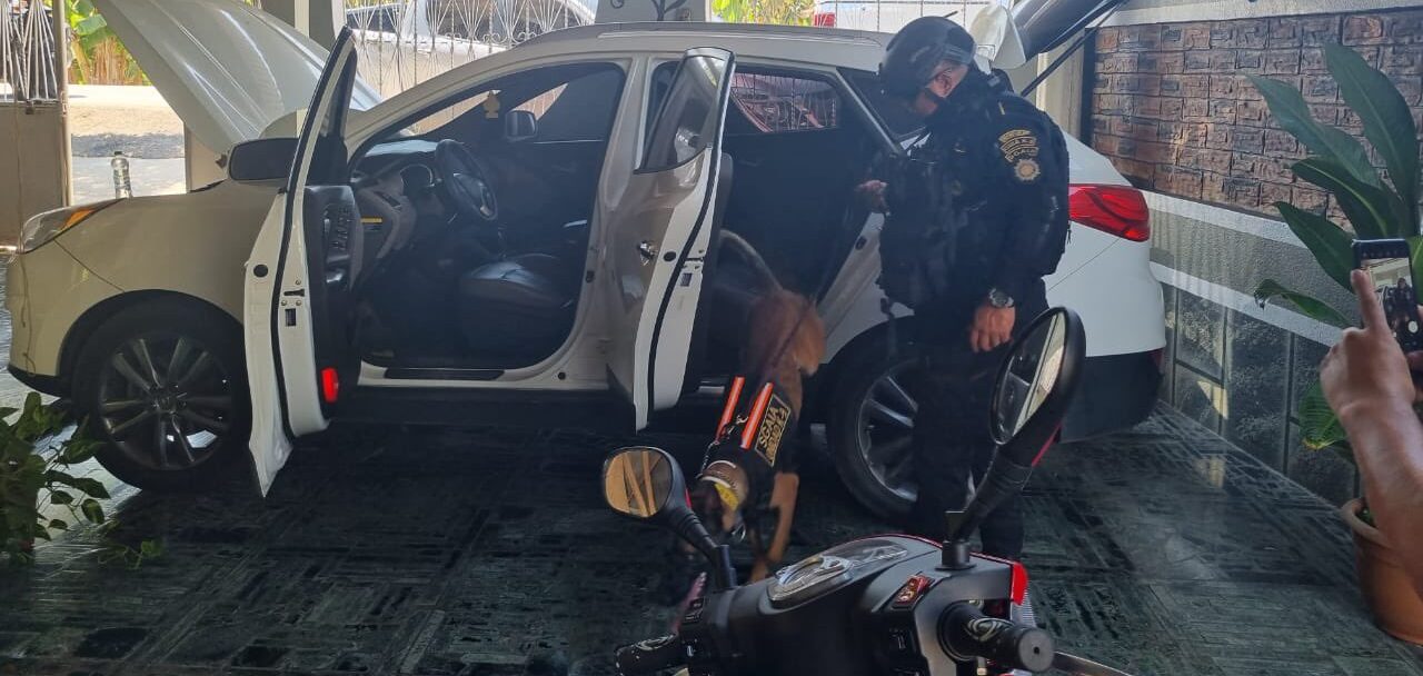 K-9 recién graduado detecta cargamento de droga