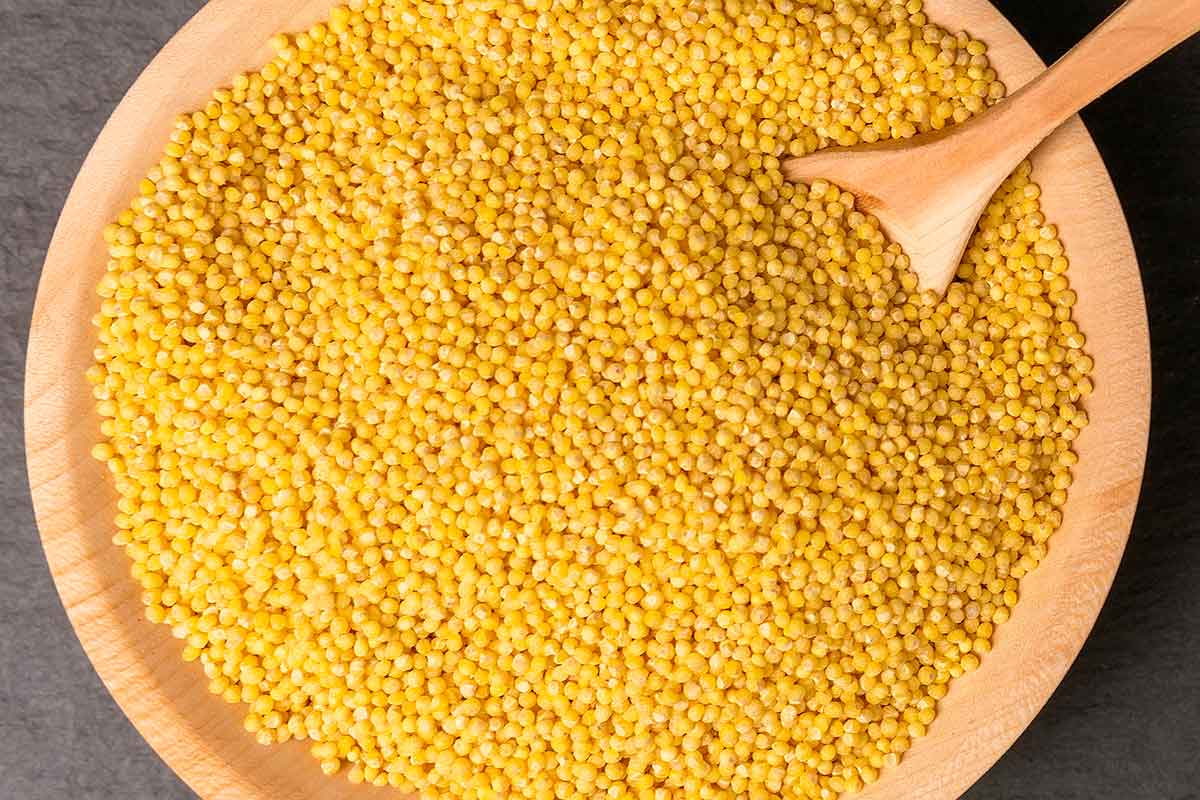 Buscan incursionar en cultivo de mijo