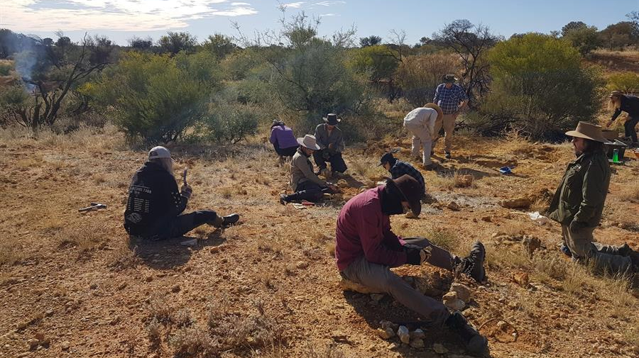 Hallan fósiles de dos marsupiales australianos de 25 millones de años