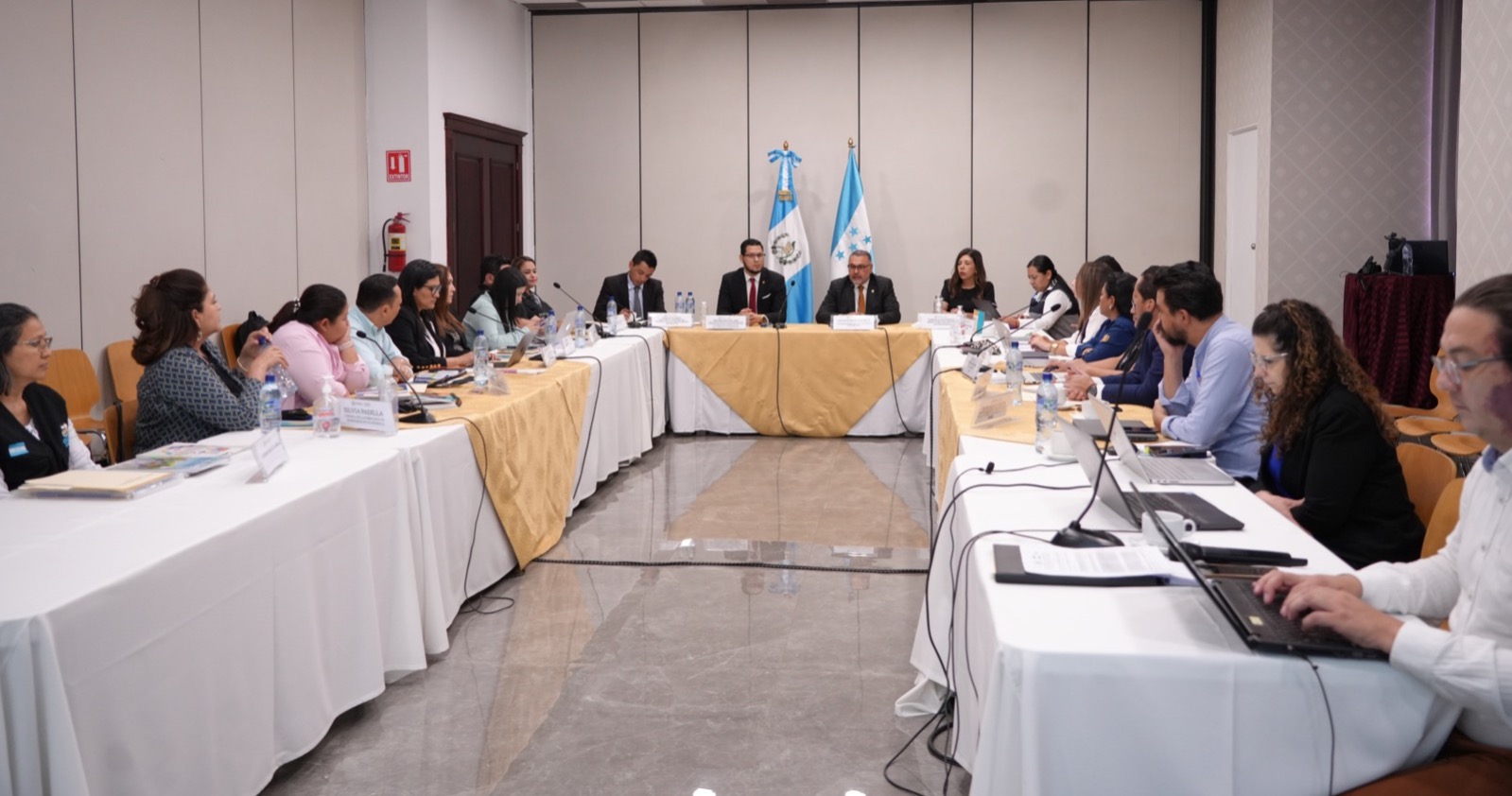 Guatemala y Honduras trabajan en protocolo para protección de menores de edad