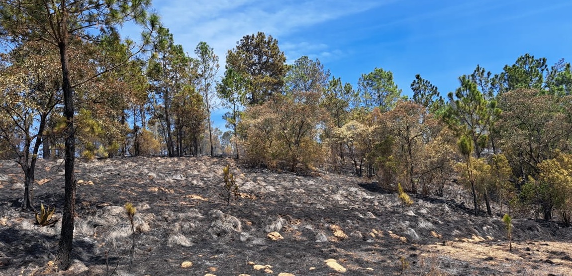 Afianzan estrategias contra incendios forestales en Totonicapán