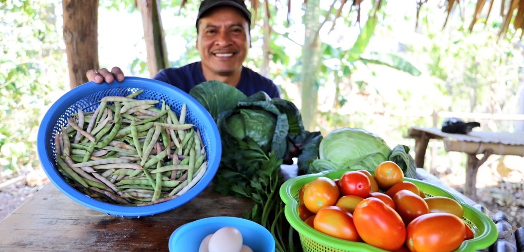 Afianzarán sistemas de respuesta ante desastres, con enfoque en seguridad alimentaria