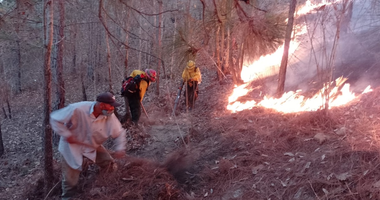 Brigada de respuesta controla incendio forestal en Jalapa