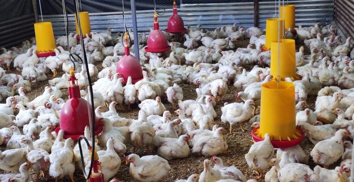 Huehuetenango celebrará tercera feria gastronómica y agropecuaria