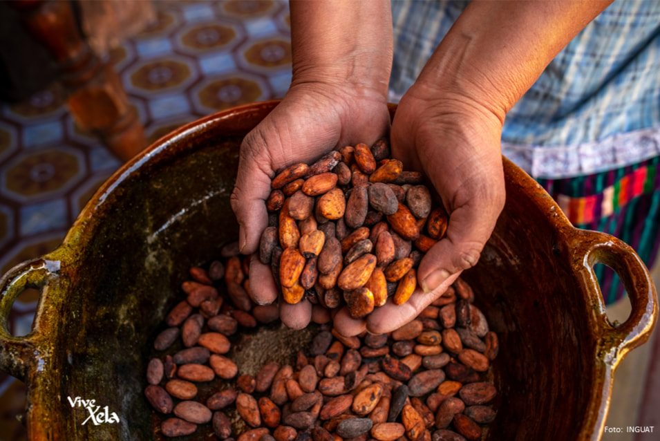 Expo Chocolate 2023 exhibirá los mejores productos a base de cacao en Xela