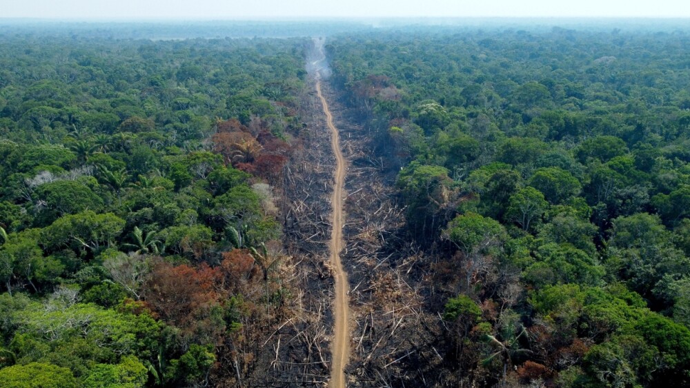 Datos satelitales confirman que la Amazonia pierde sus bosques