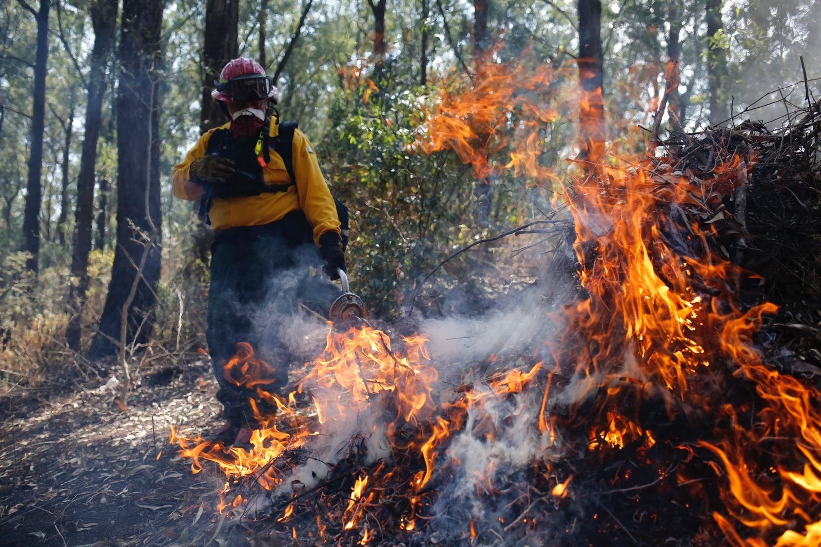 Temporada de incendios ha dejado 280 siniestros en el territorio