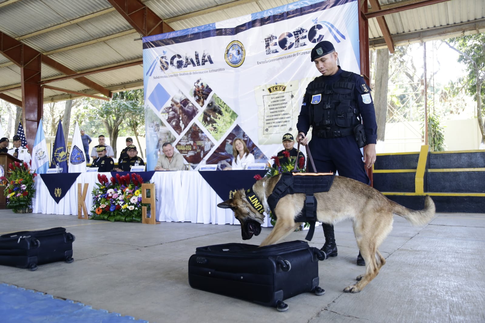 Binomios K-9 se suman al trabajo antinarcótico en el territorio