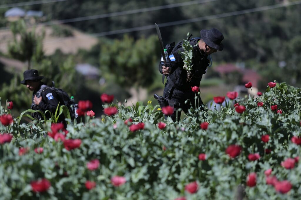 Más de mil 210 millones de quetzales incautados al narcotráfico durante 2023
