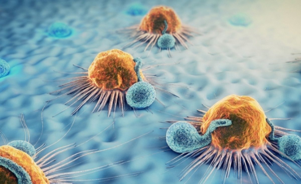 Células pueden reprogramarse para combatir el cáncer de mama