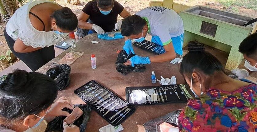 Mil 100 jóvenes fortalecen sus habilidades por medio de becas de enfermería
