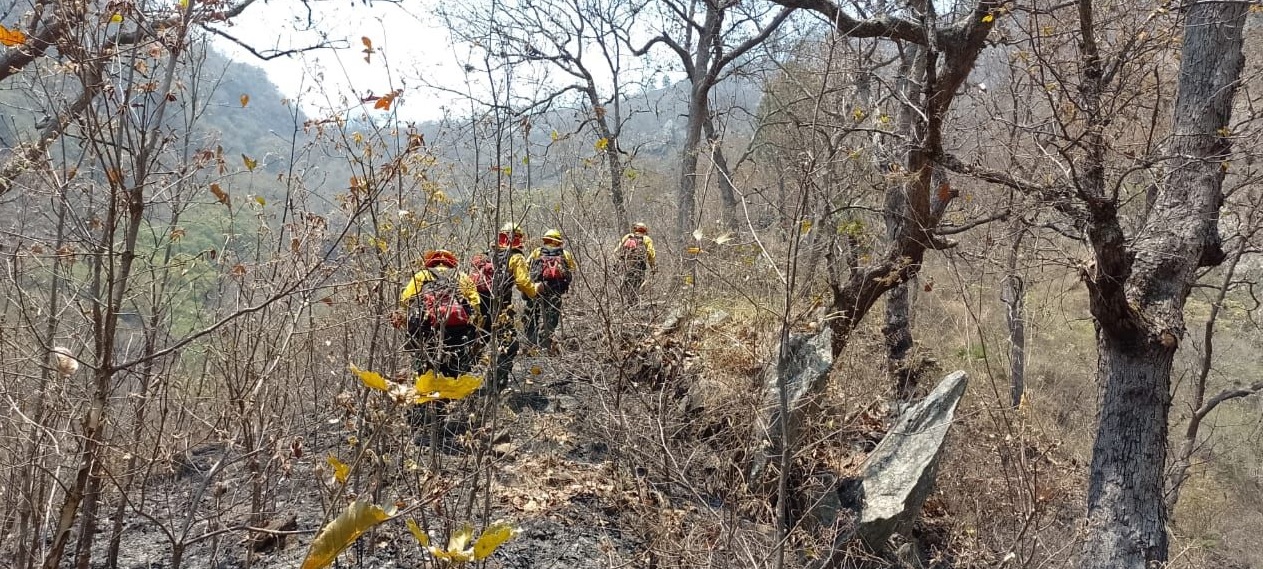Refuerzan acciones para proteger la sierra de Las Minas