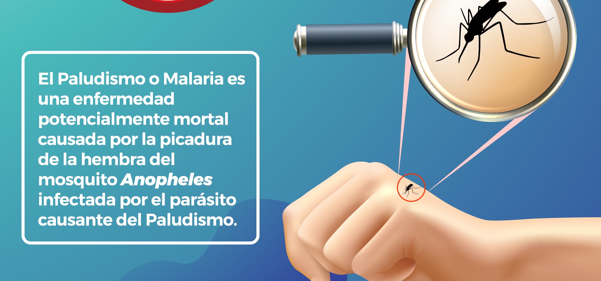 Salud llama a prevenir el paludismo