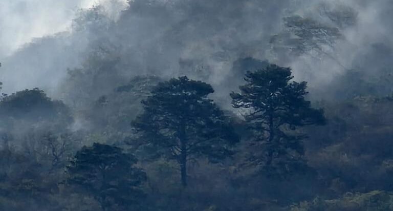 Controlan incendio forestal en volcán Ixtepeque