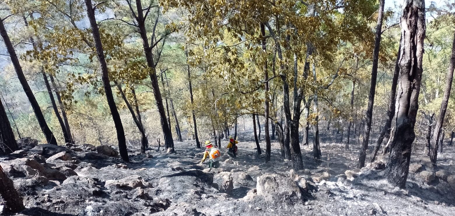 Destacan labor de equipos en liquidación de incendio en Monjas