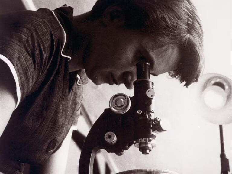 Nuevos documentos dan a Rosalind Franklin un papel activo en el ADN