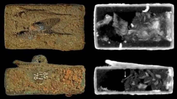 Descubren los secretos de ataúdes de animales momificados en Egipto