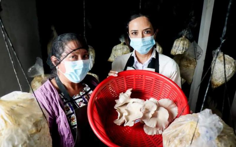 Productoras de hongos de Totonicapán son motivadas a financiar su emprendimiento