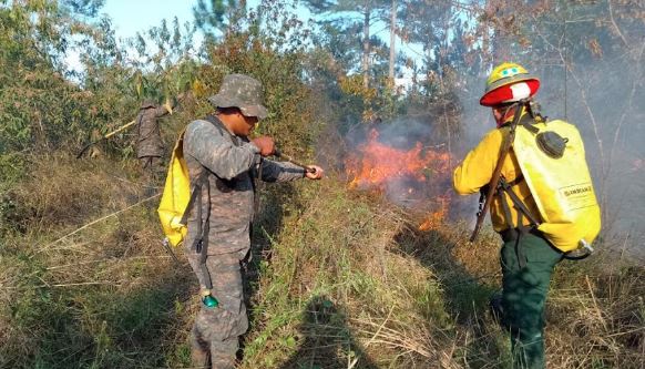 Ejército de Guatemala ayuda en el combate a incendios forestales. /Foto: Ejército de Guatemala