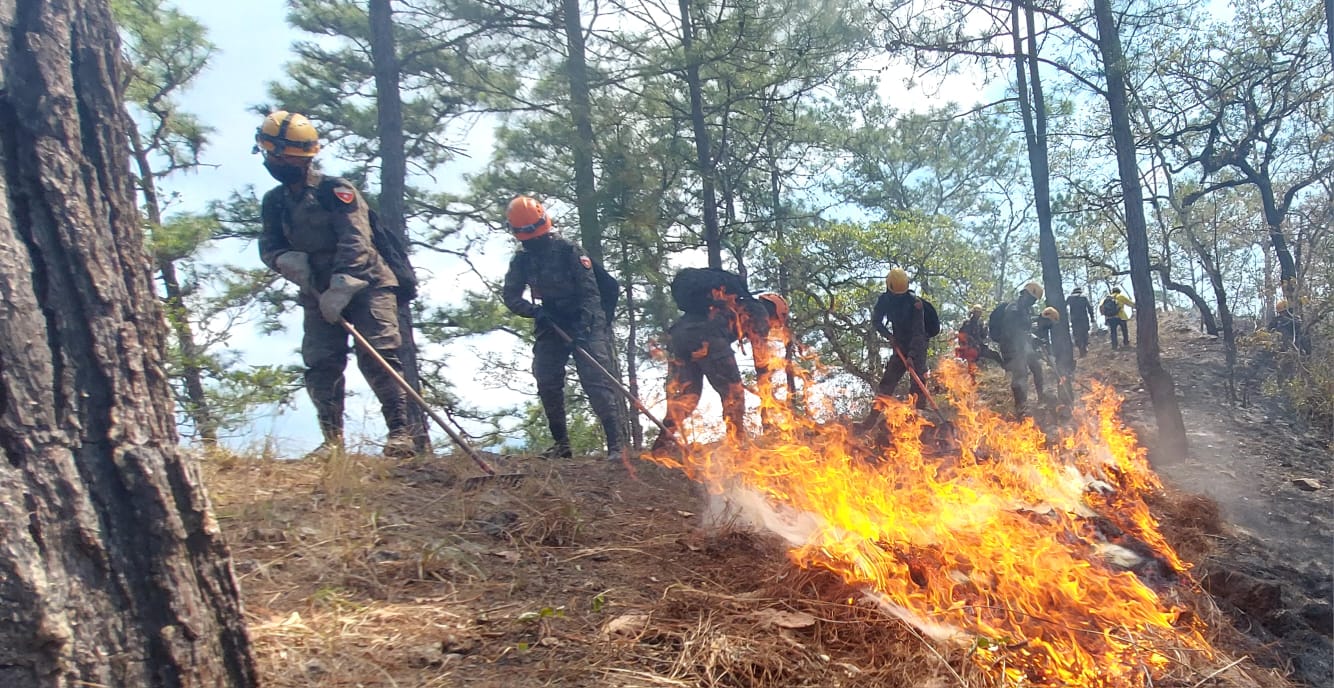 Ejército ha brindado apoyo en el sofocamiento de 67 incendios forestales