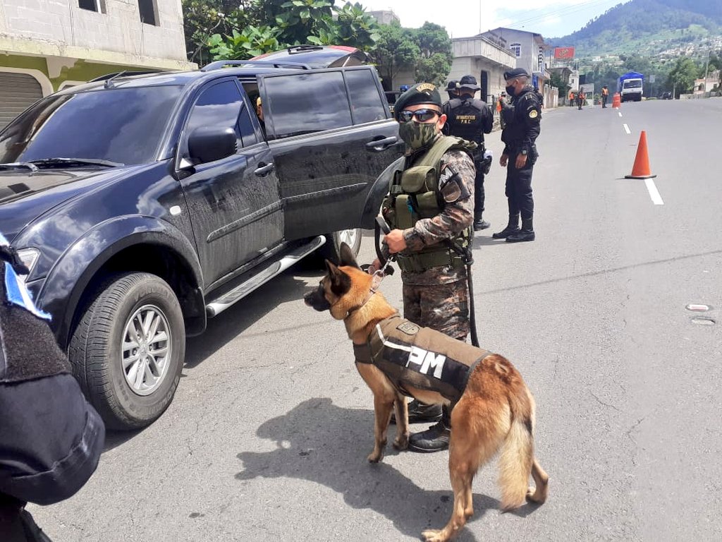 Acciones del Gobierno reflejan disminución de homicidios