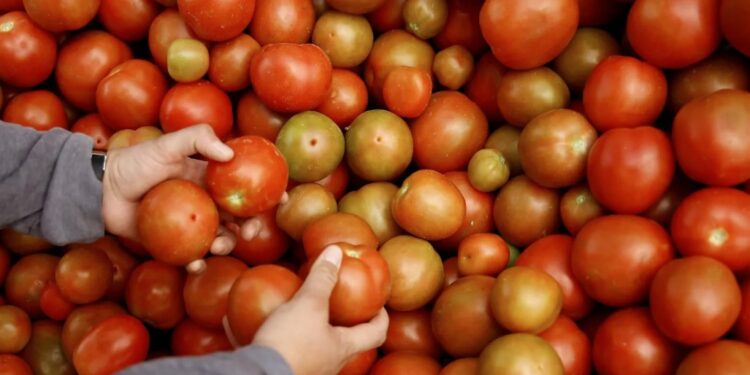 IICA busca integración entre los productores agropecuarios de América Latina