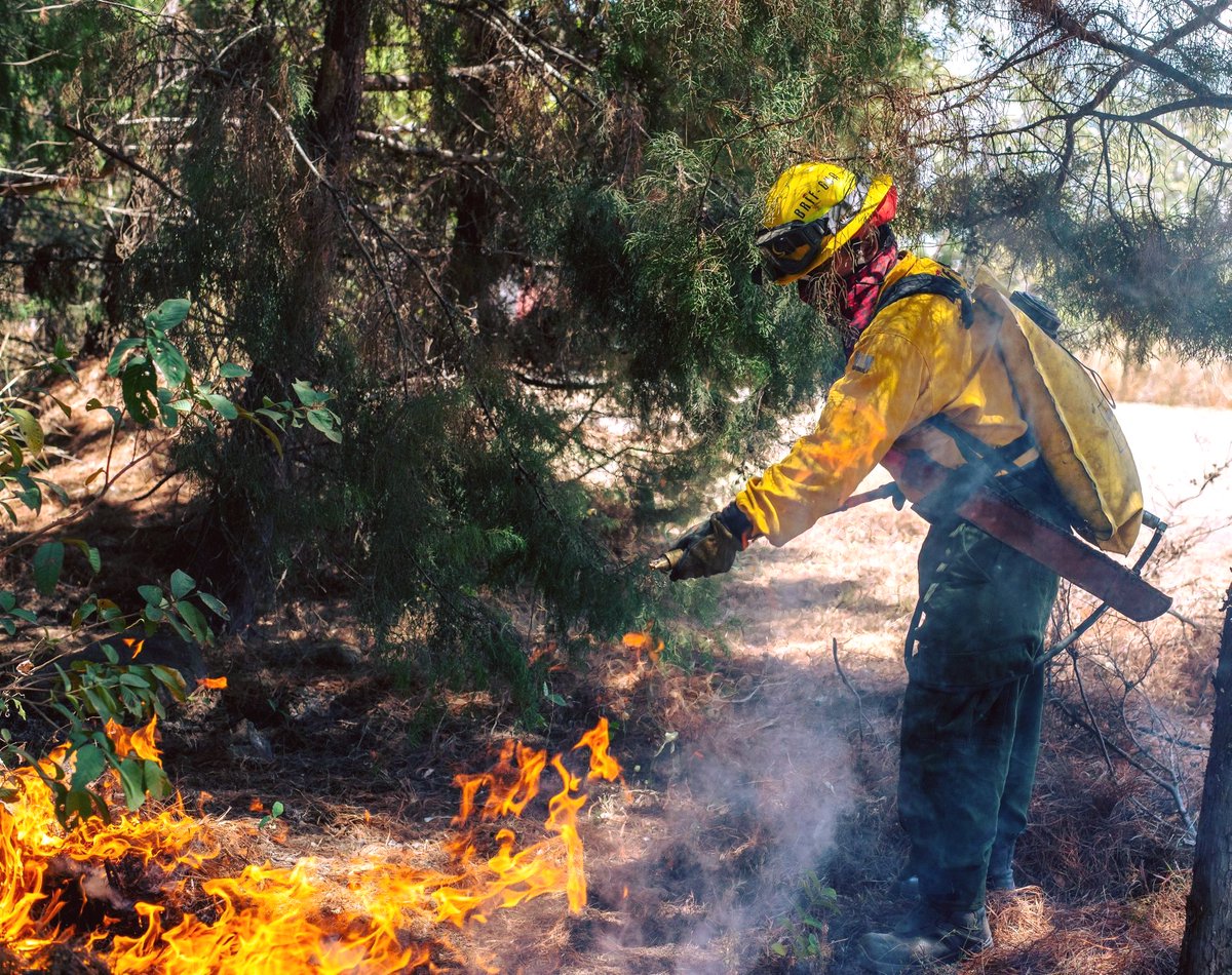 Valoran labor de los bomberos forestales de Guatemala