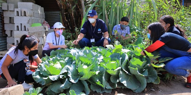 Servidores cívicos están listos para ser líderes ambientales