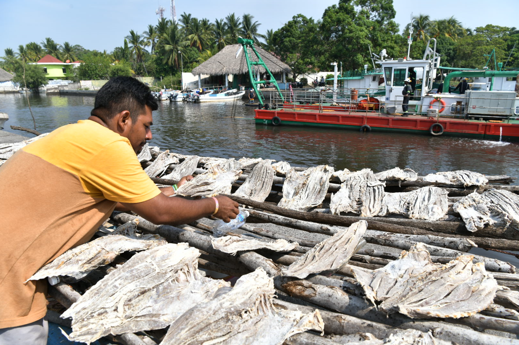 Pescadores de Escuintla podrán mejorar su productividad. /Foto: Álvaro Interiano