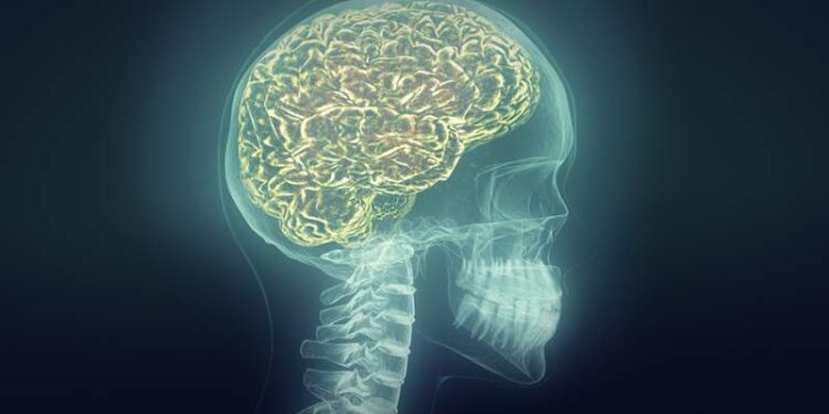 La desigualdad de género podría estar afectando los cerebros.