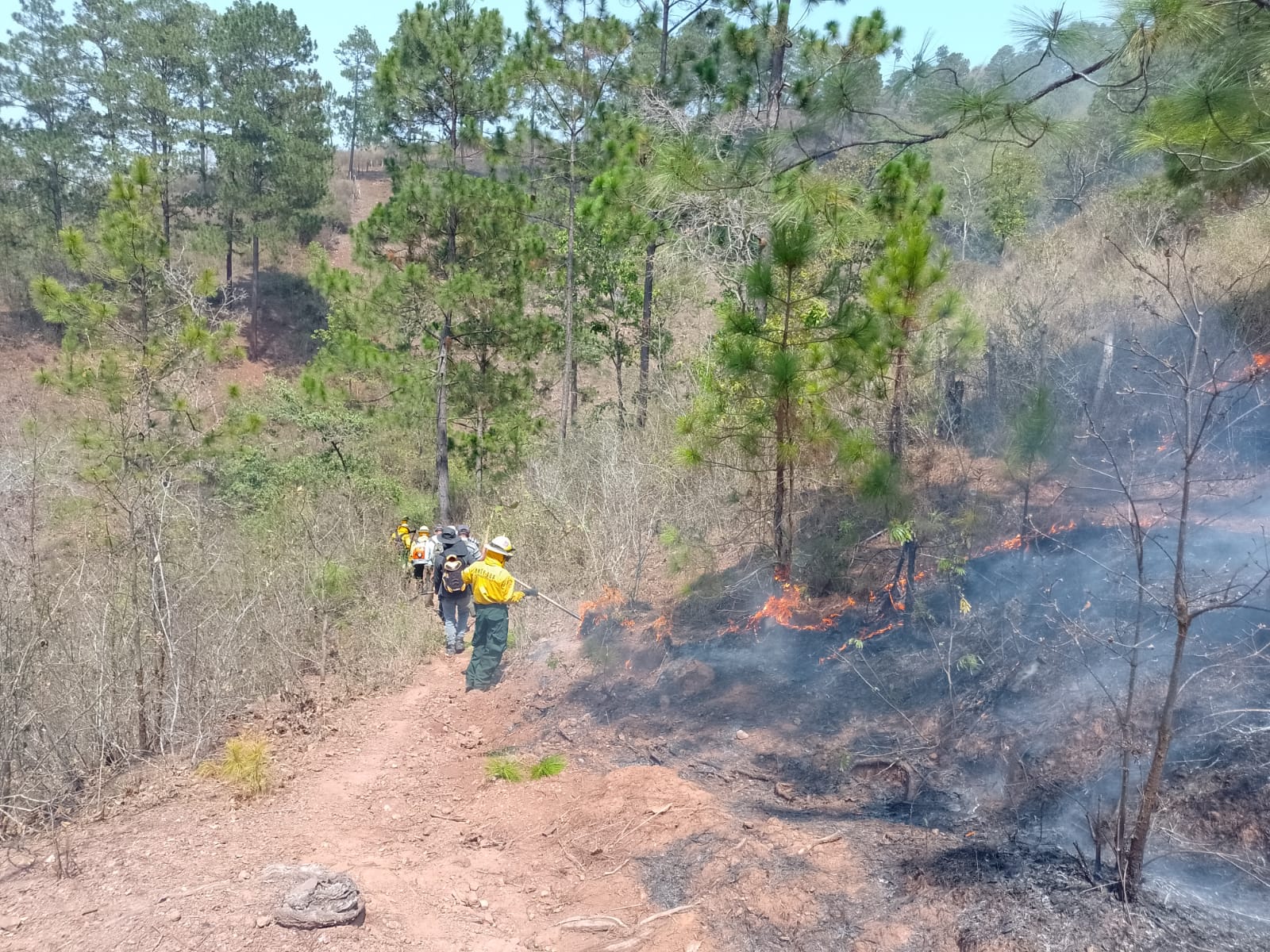 Sofocan incendio forestal en San Pedro Pinula, Jalapa