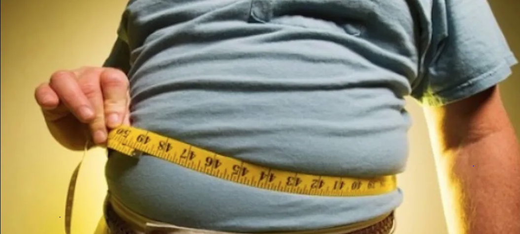 Investigación abre vía a nuevas terapias contra la obesidad