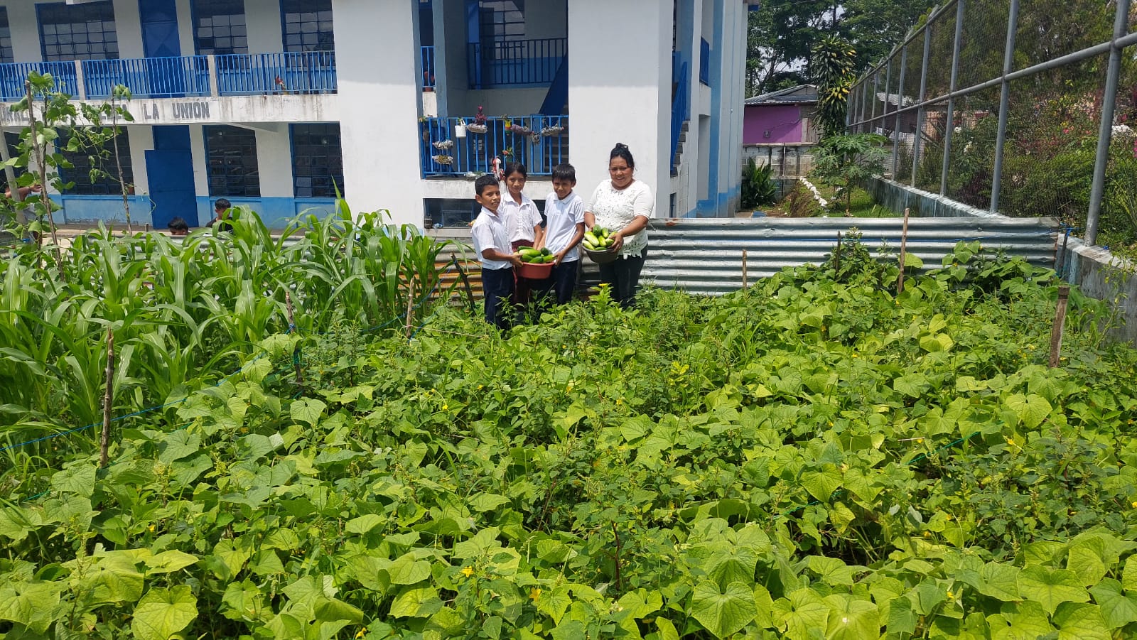 Estudiantes de Malacatán obtienen primera cosecha de huerto escolar
