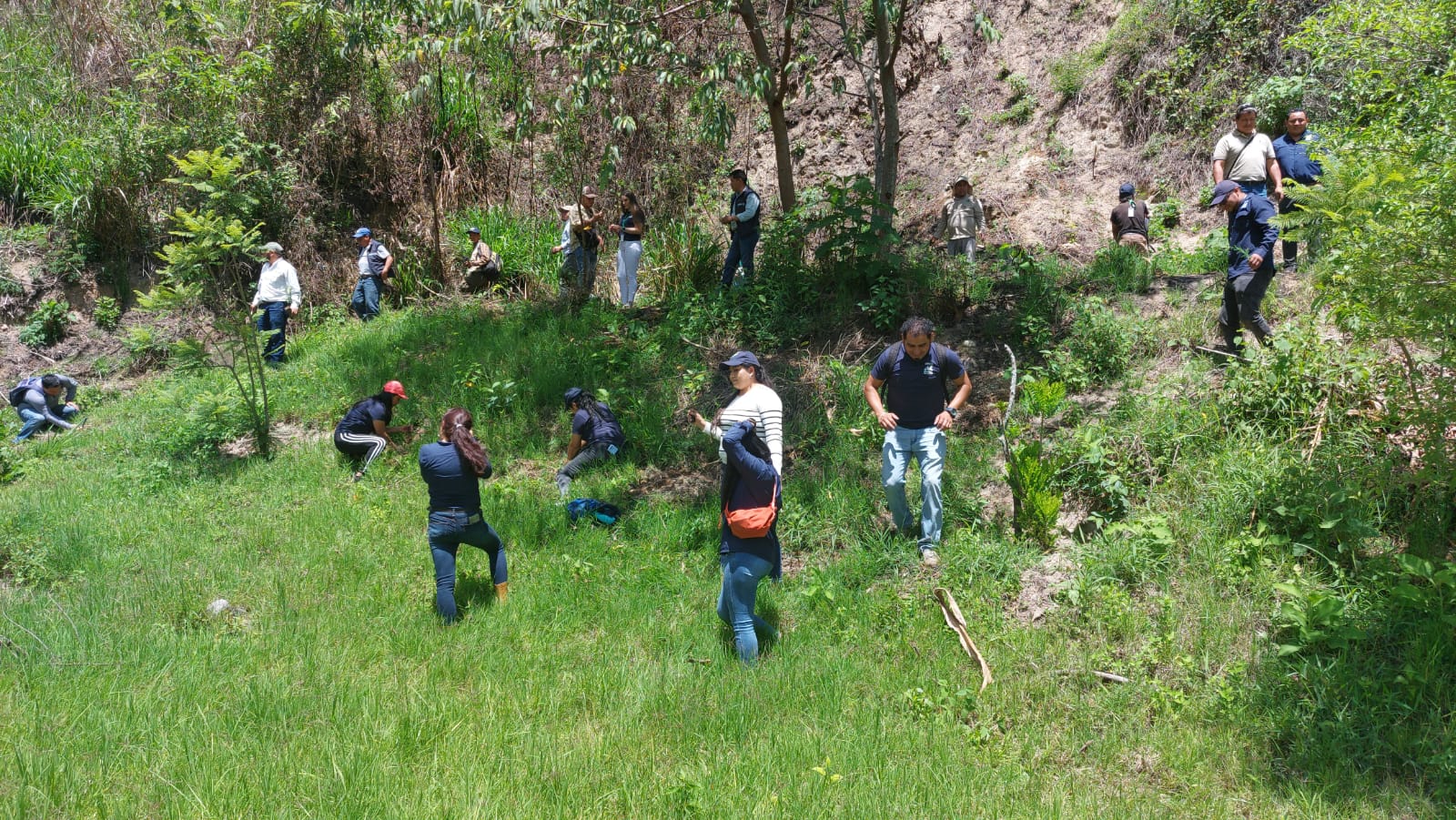 Lanzan campaña Reforestando Atitlán para un Futuro Verde