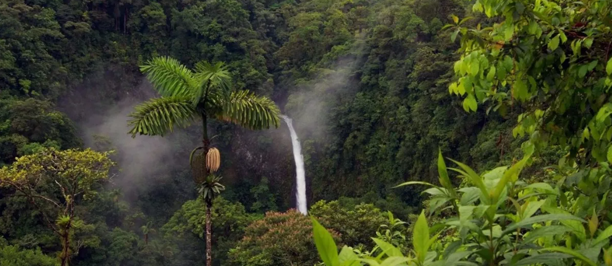Trópicos, tesoros de diversidad biológica mundial